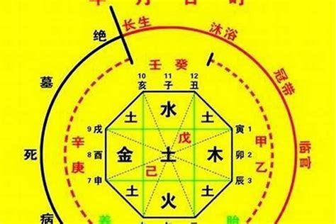 八字怎麼查|生辰八字算命、五行喜用神查詢（免費測算）